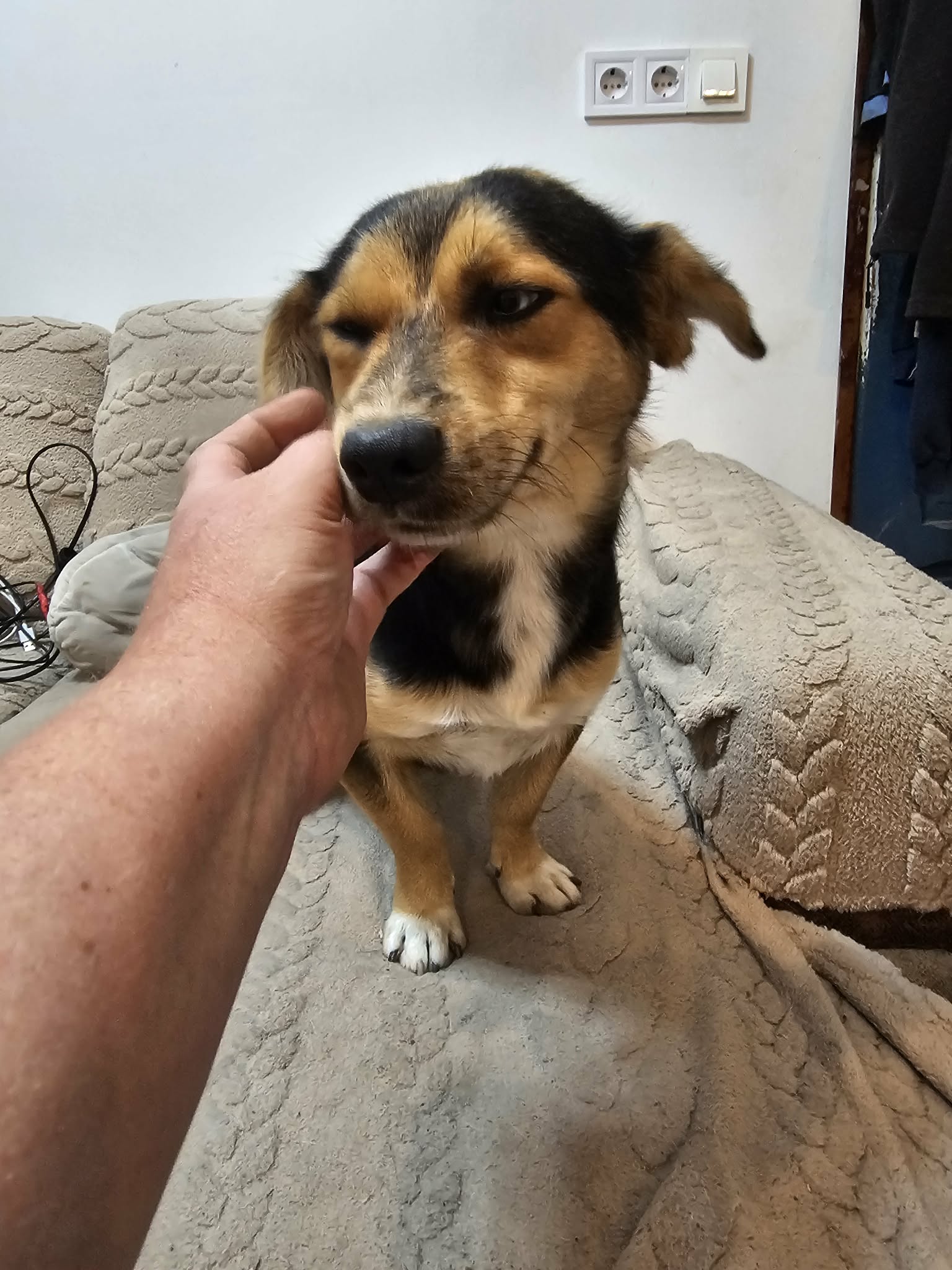 Charlie