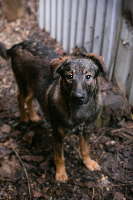 Duke