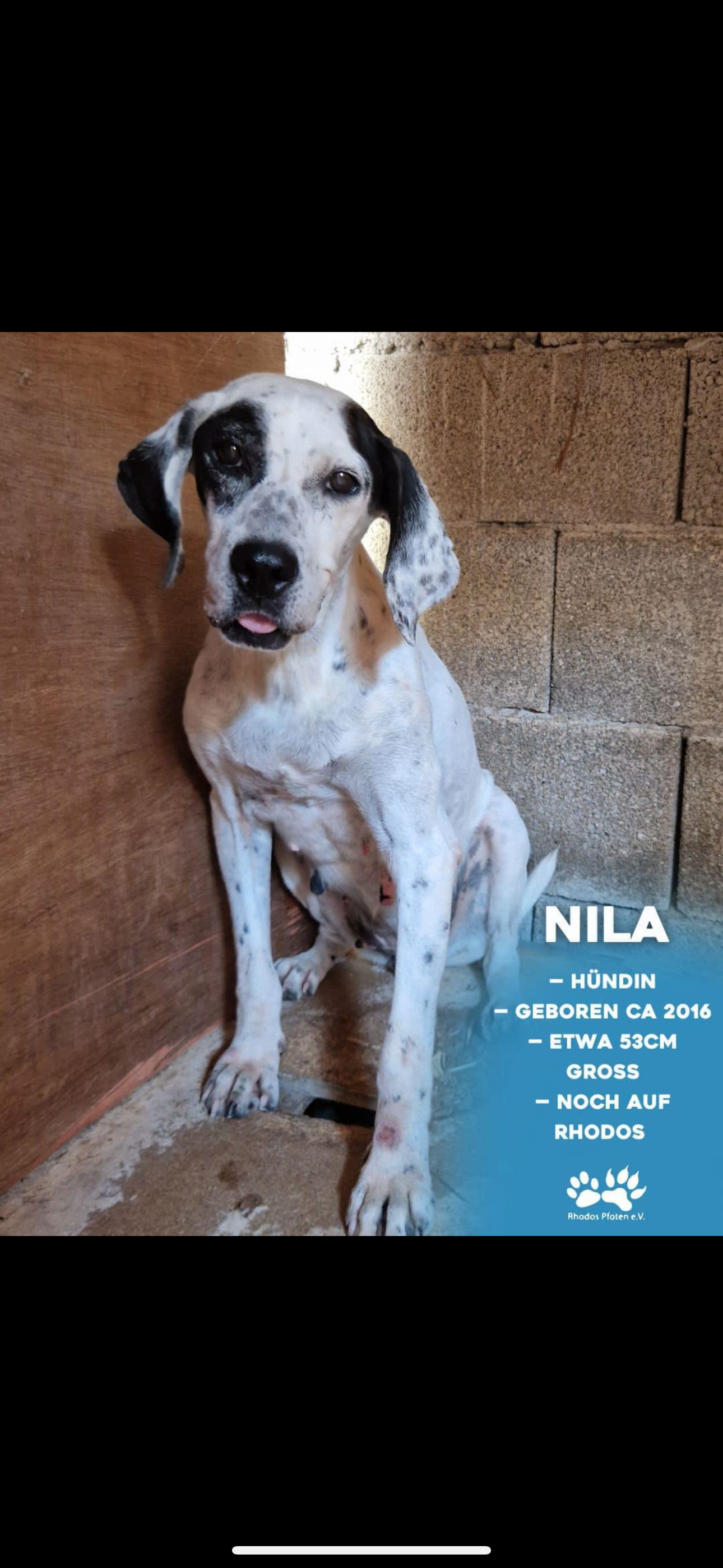 Nila