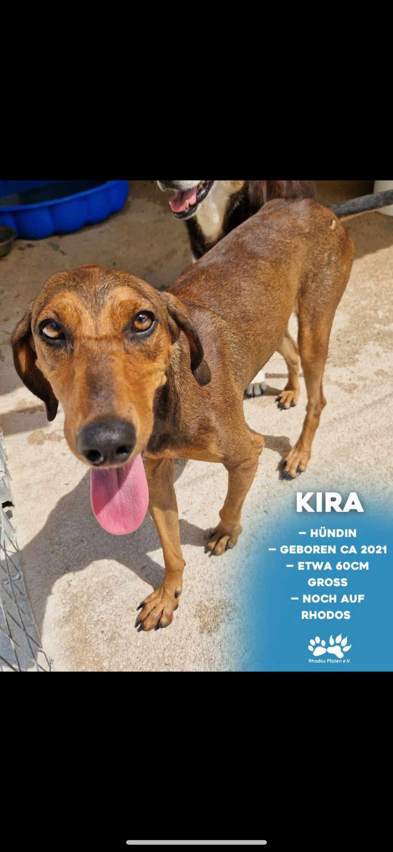 Kira