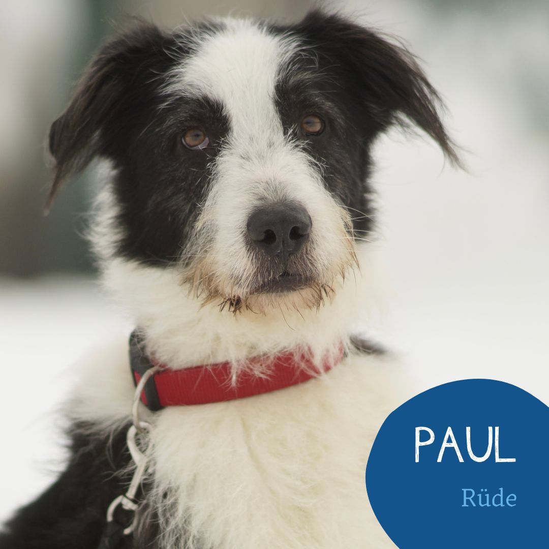 Paul