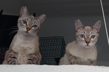 Mia und Zoe