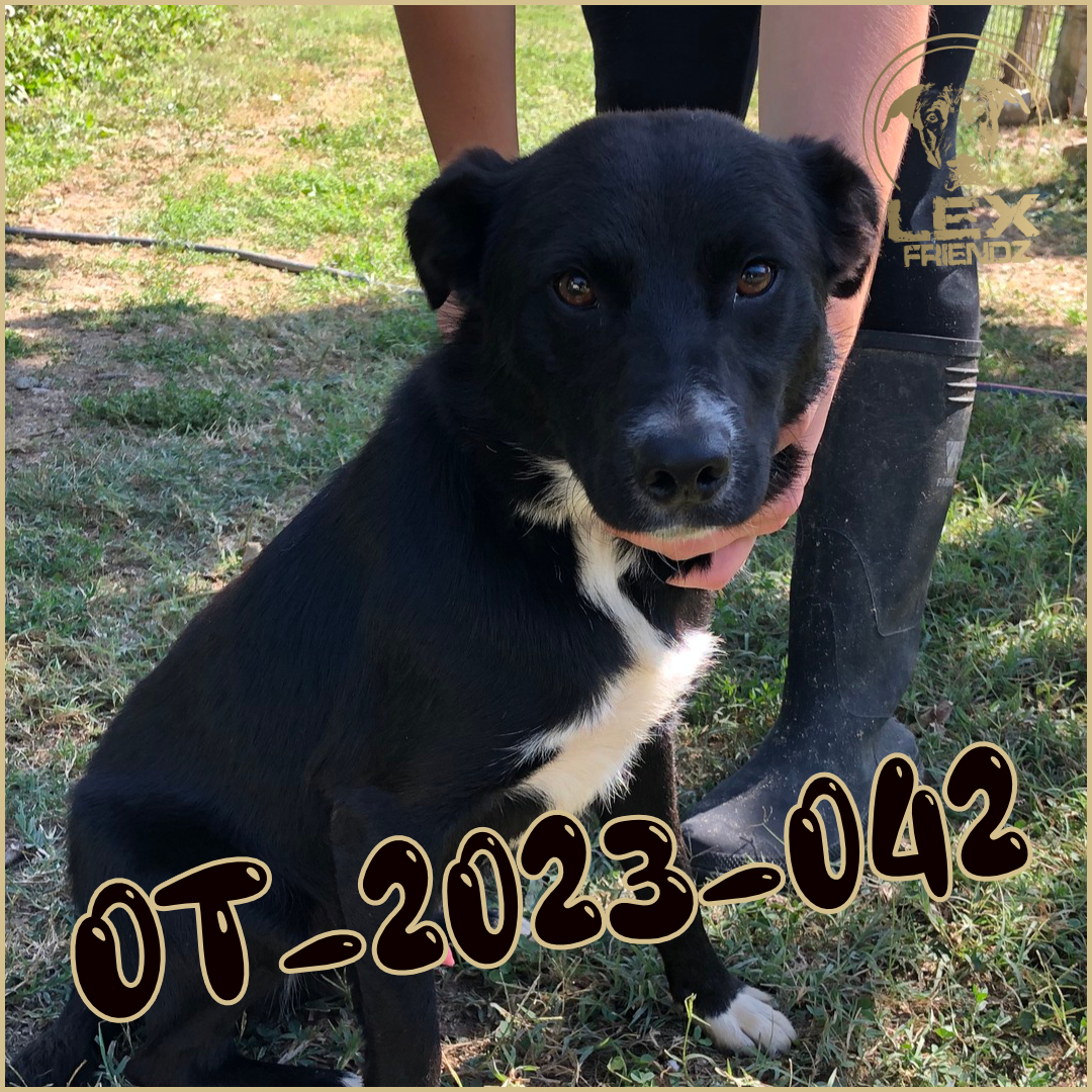 OT-2023-042