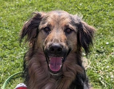 Zeus