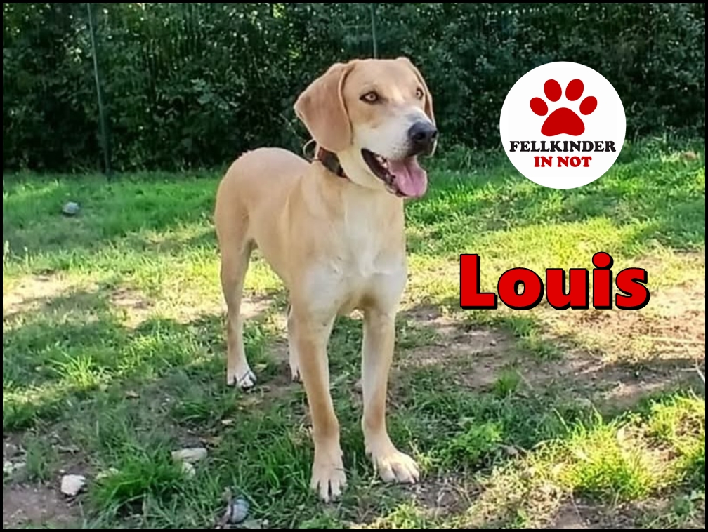 Louis