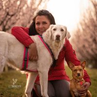 Kontaktbild von Claudia Lessander