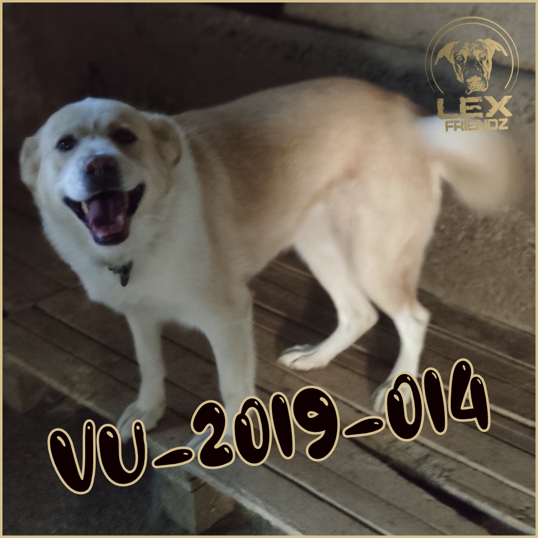 VU-2019-014