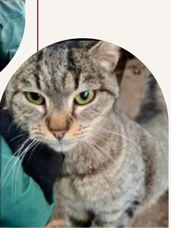 Leja 🐾🐈