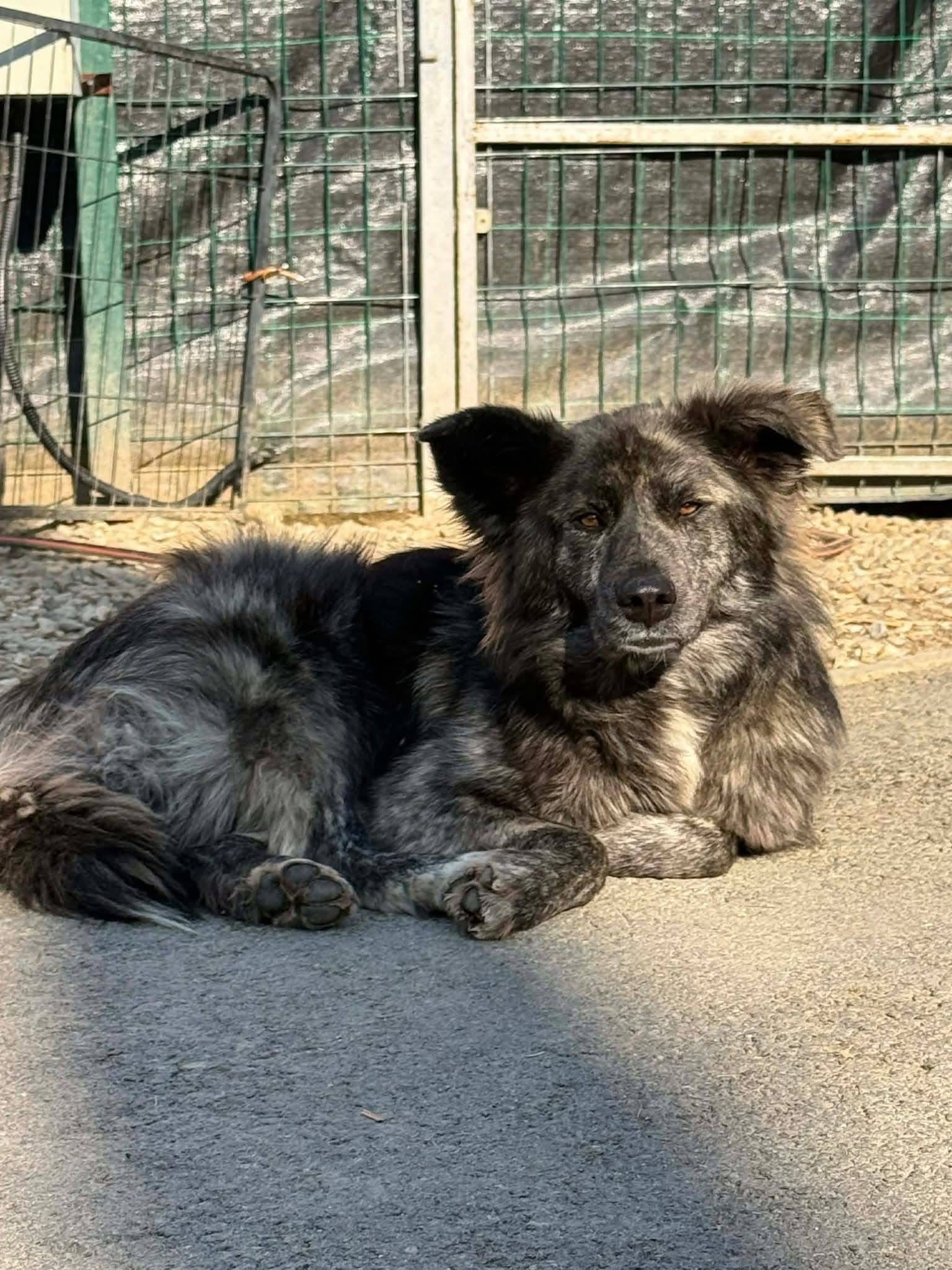 Erna 🐾🐕