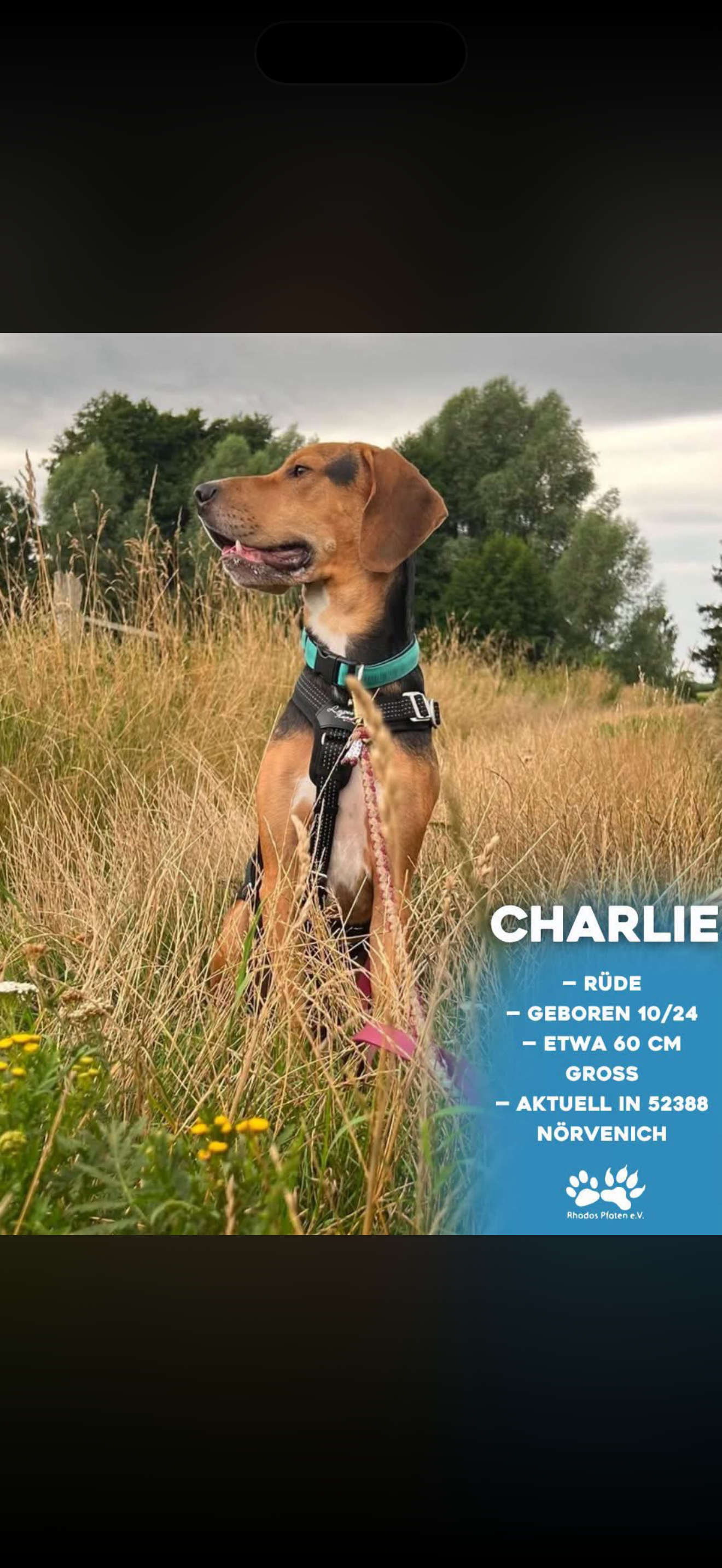 Charlie