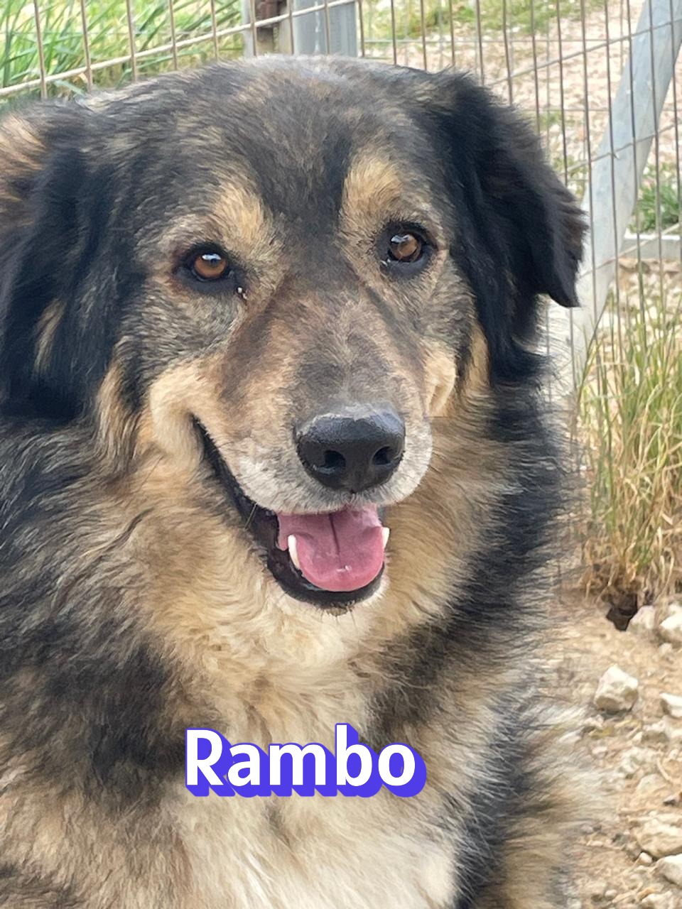 Rambo