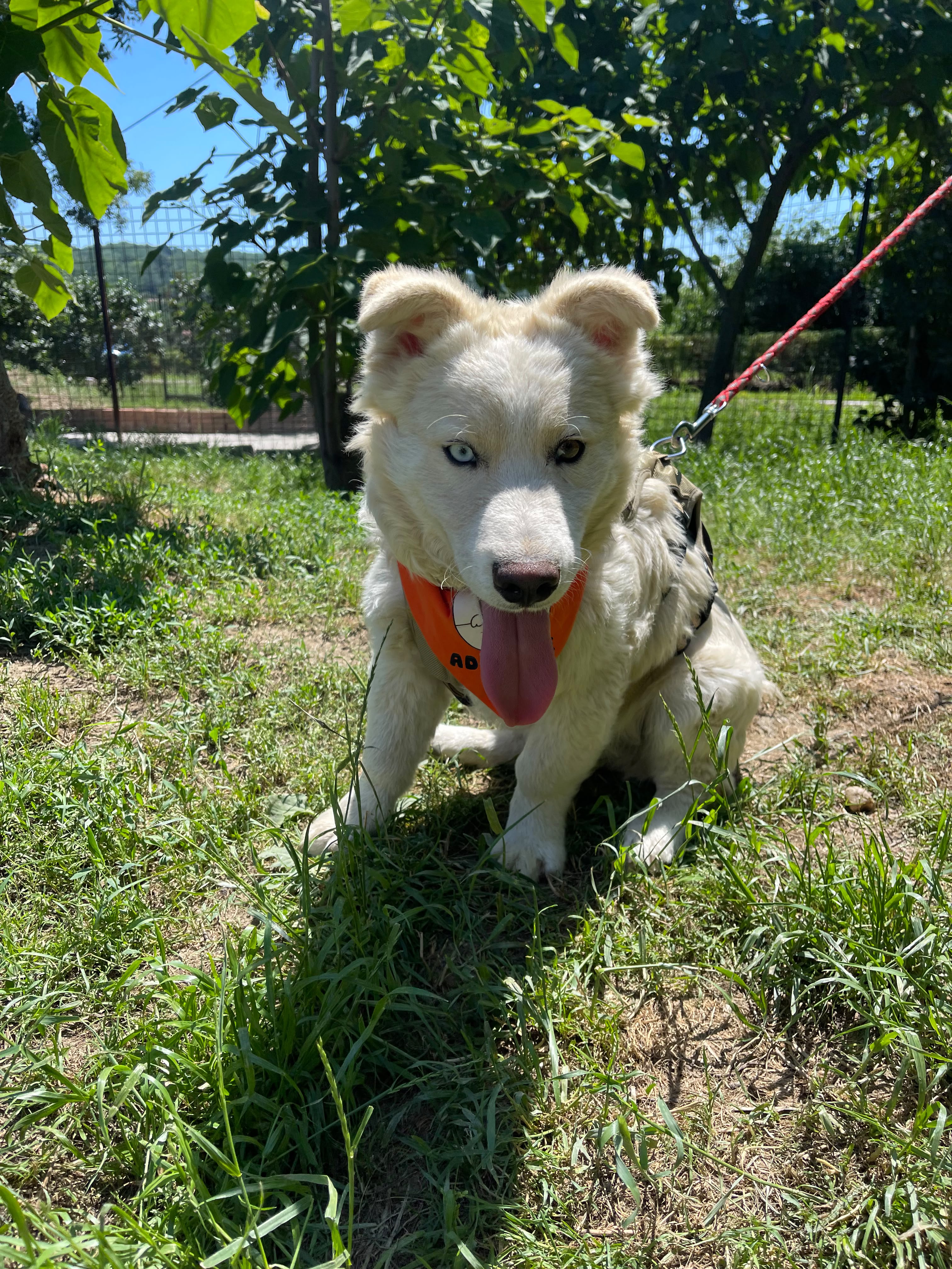 Basti