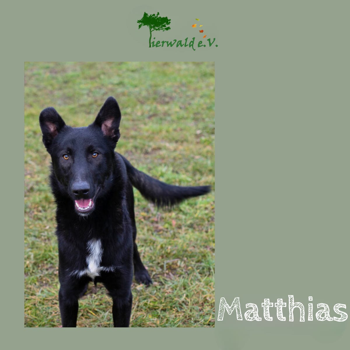 Mathias