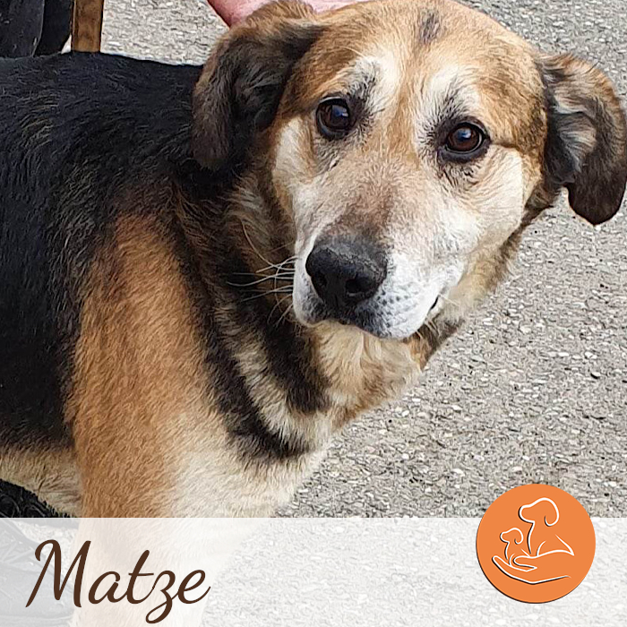 Matze