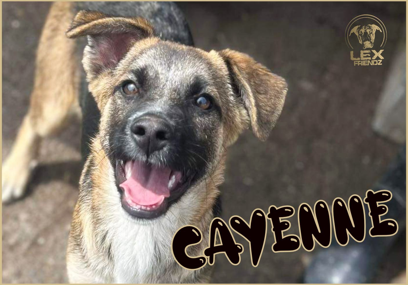 CAYENNE
