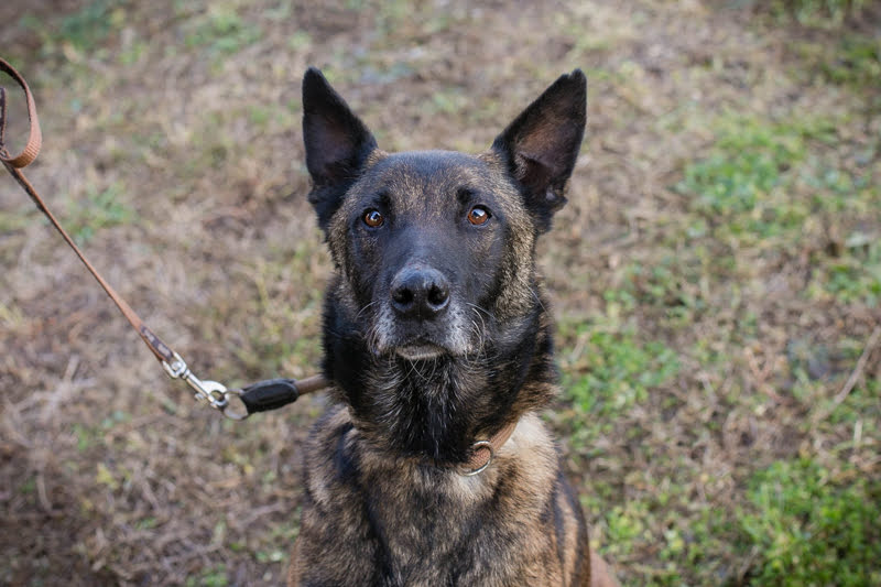Leon