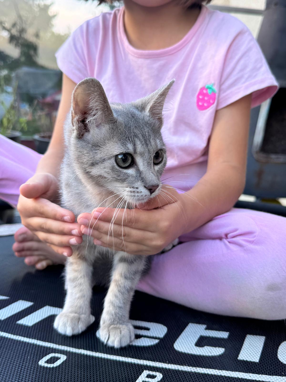 😺💗 Zuckersüße Tini 💗