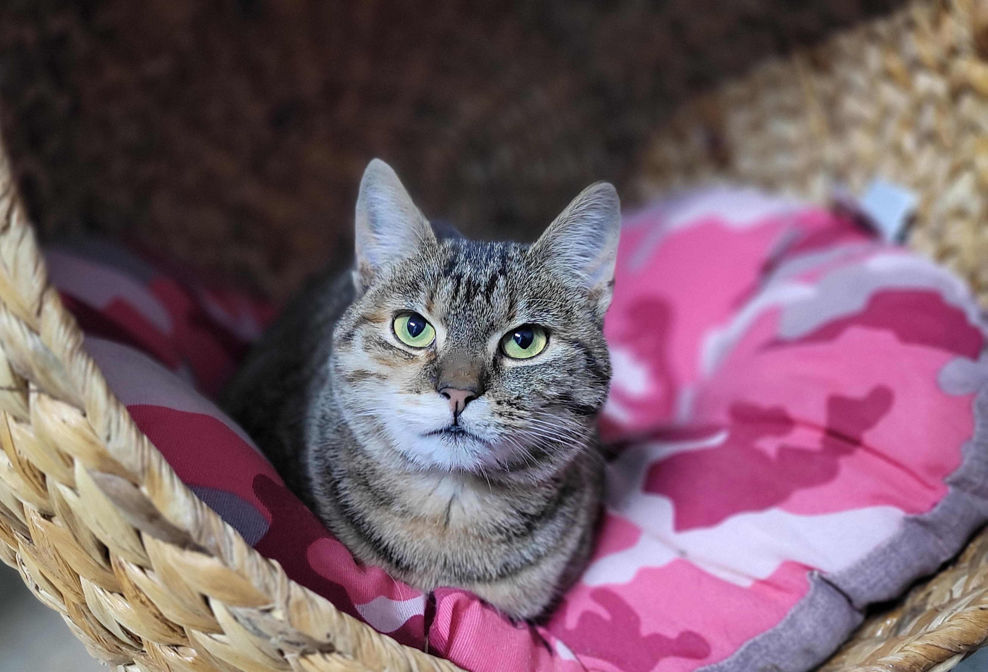 Giovanna 🐾🐈