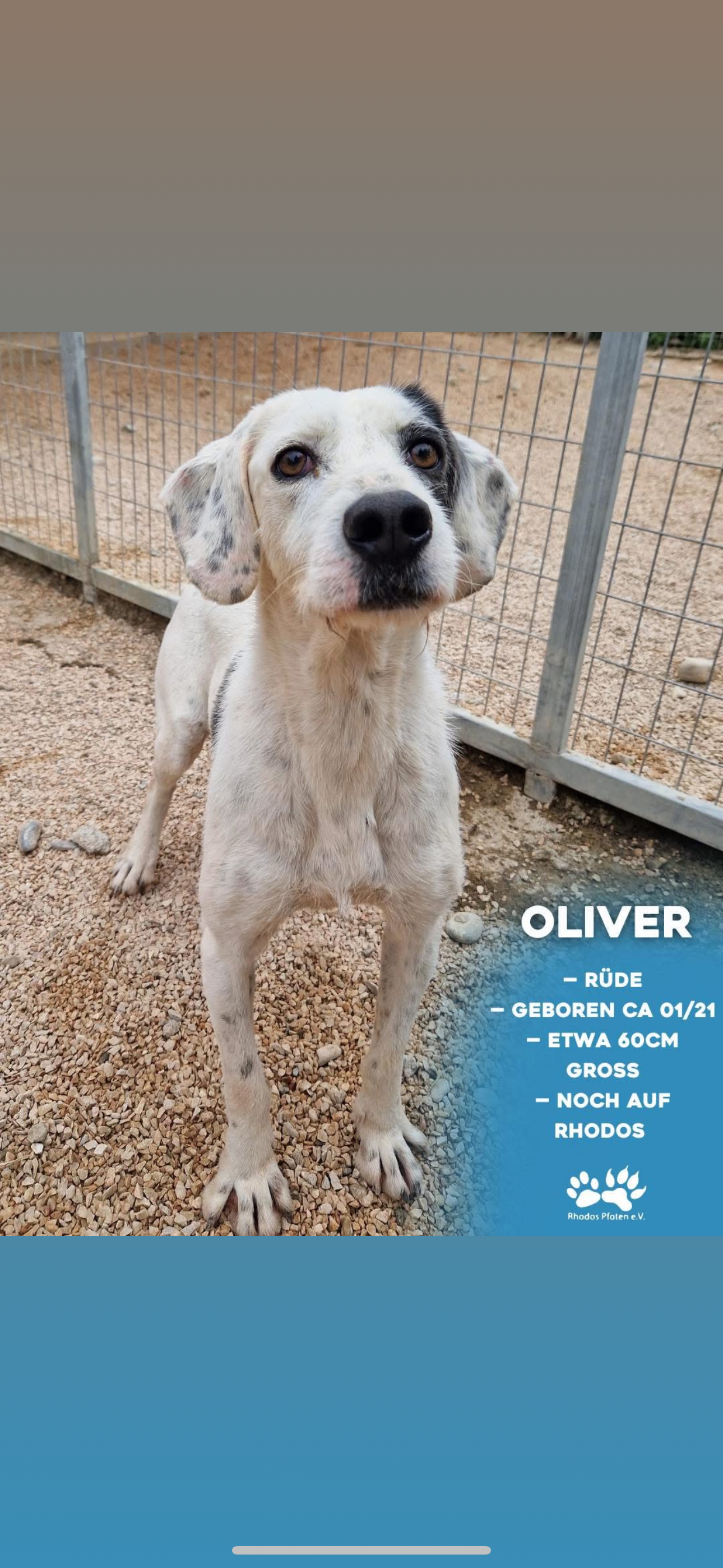 Oliver
