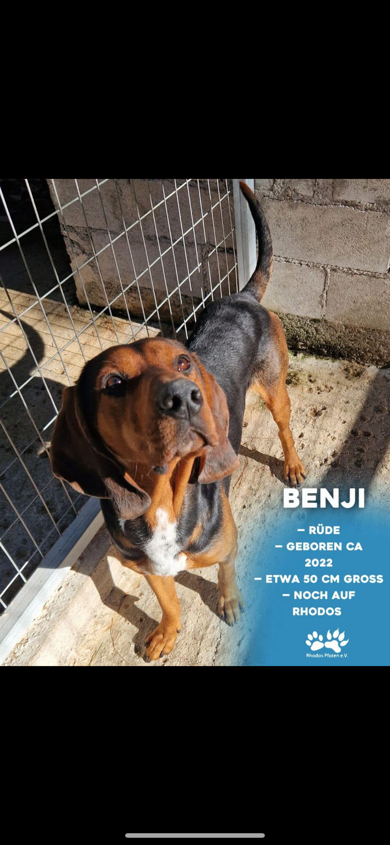Benji