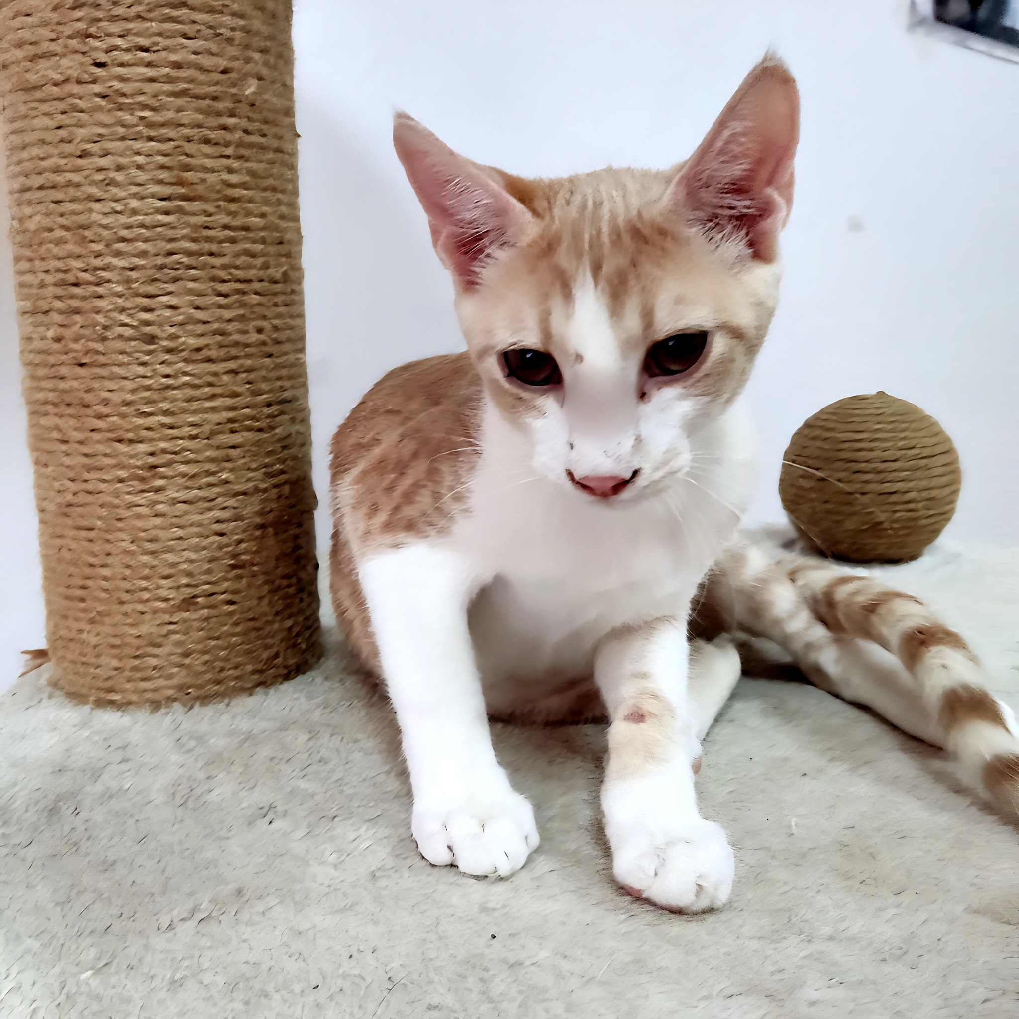 Hugo❤️