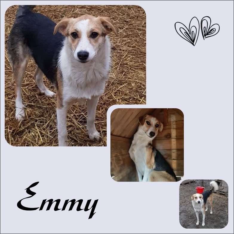 Emmy
