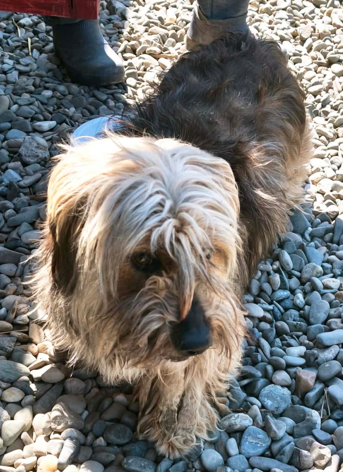 Eli