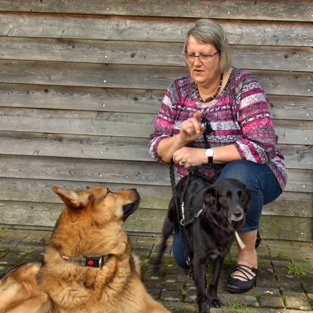 Kontaktbild von Silke Heiszenberger-Försterling