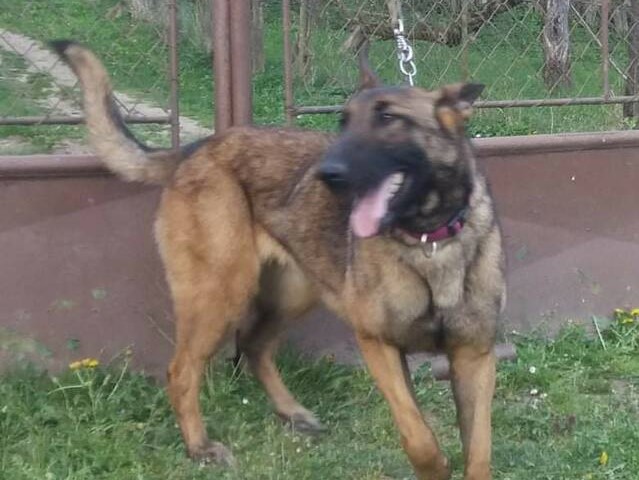 ELZA
