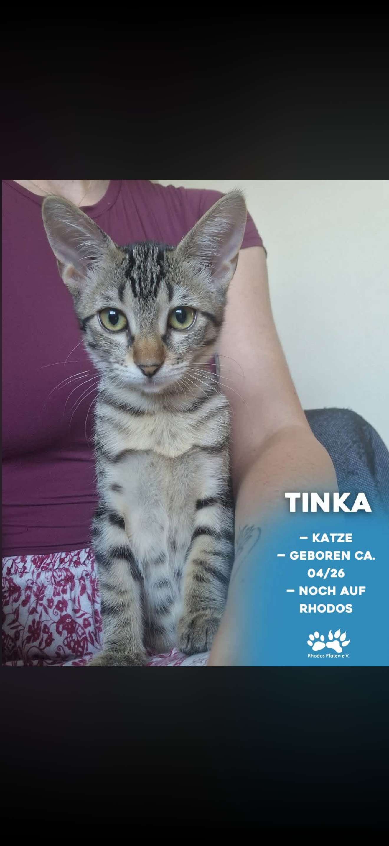 Tinka