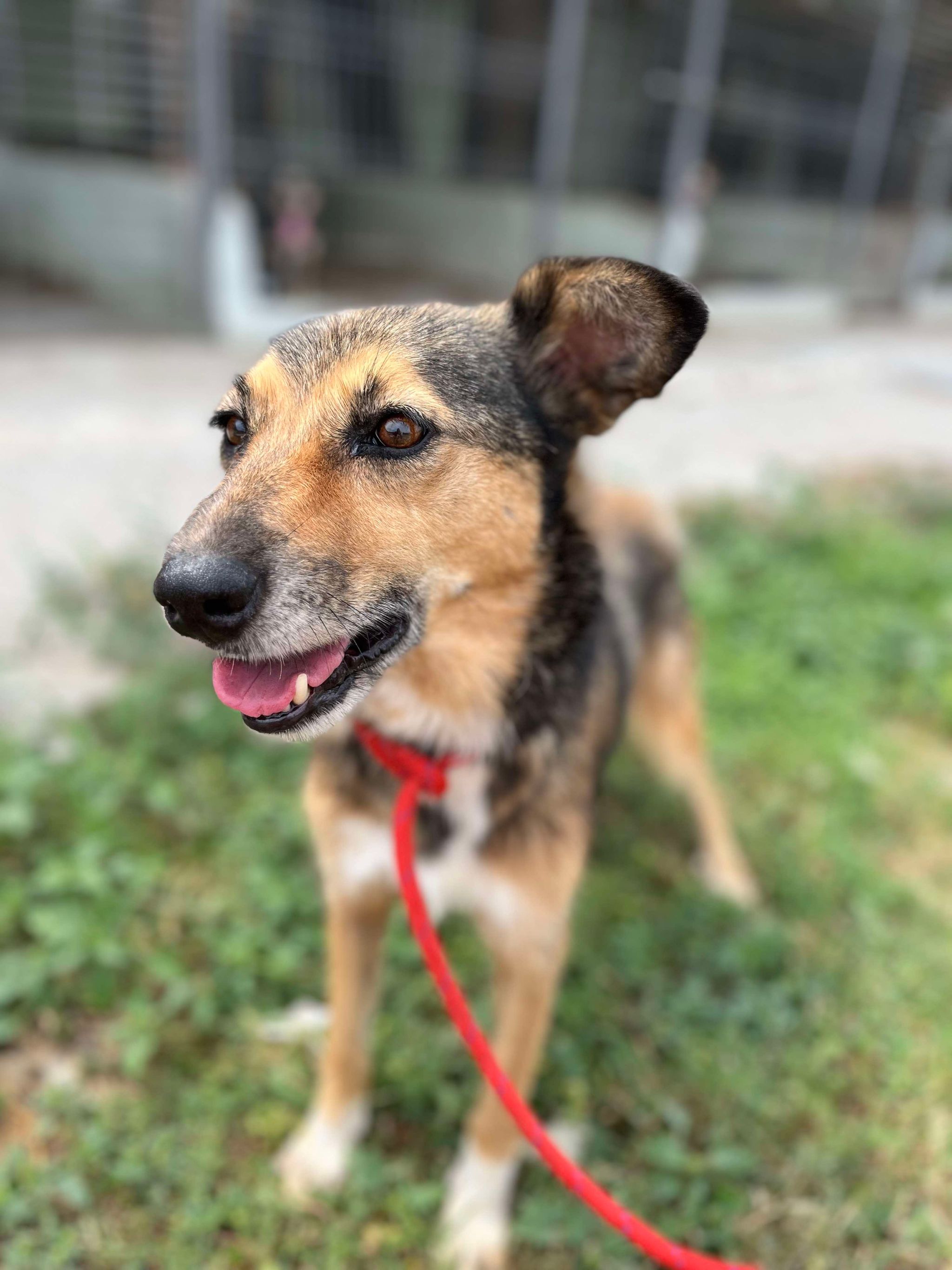Bibi Fleu sucht ein Zuhause