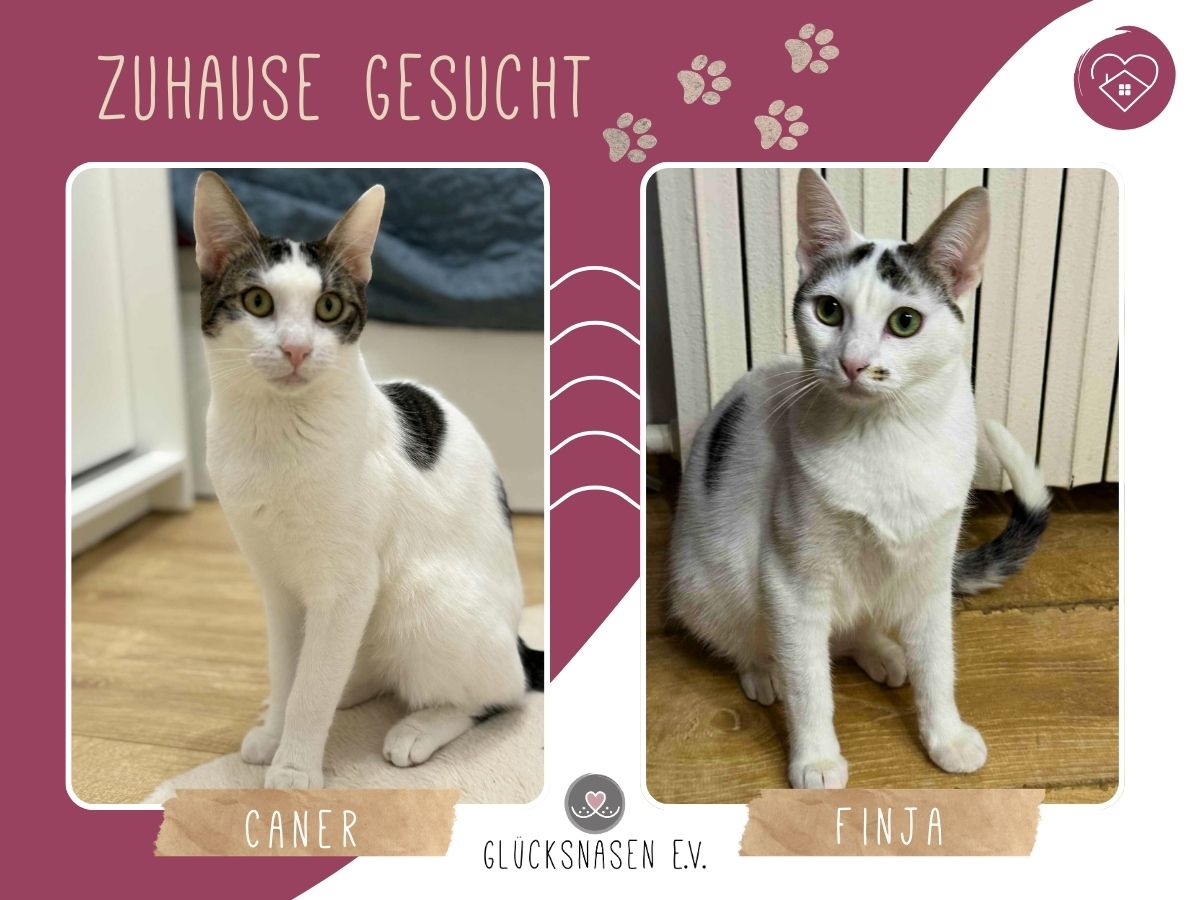 Caner und Finja suchen Dich