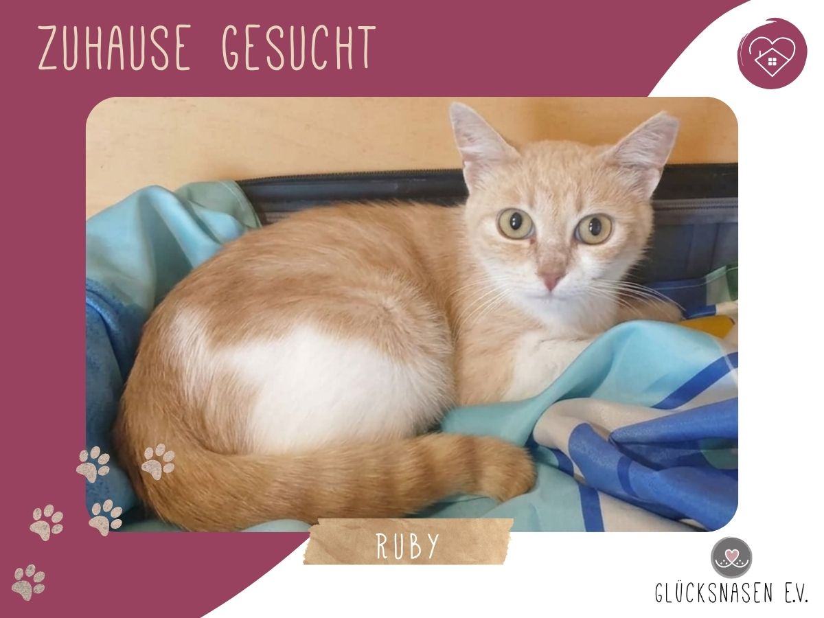 Ruby sucht ihre Menschen