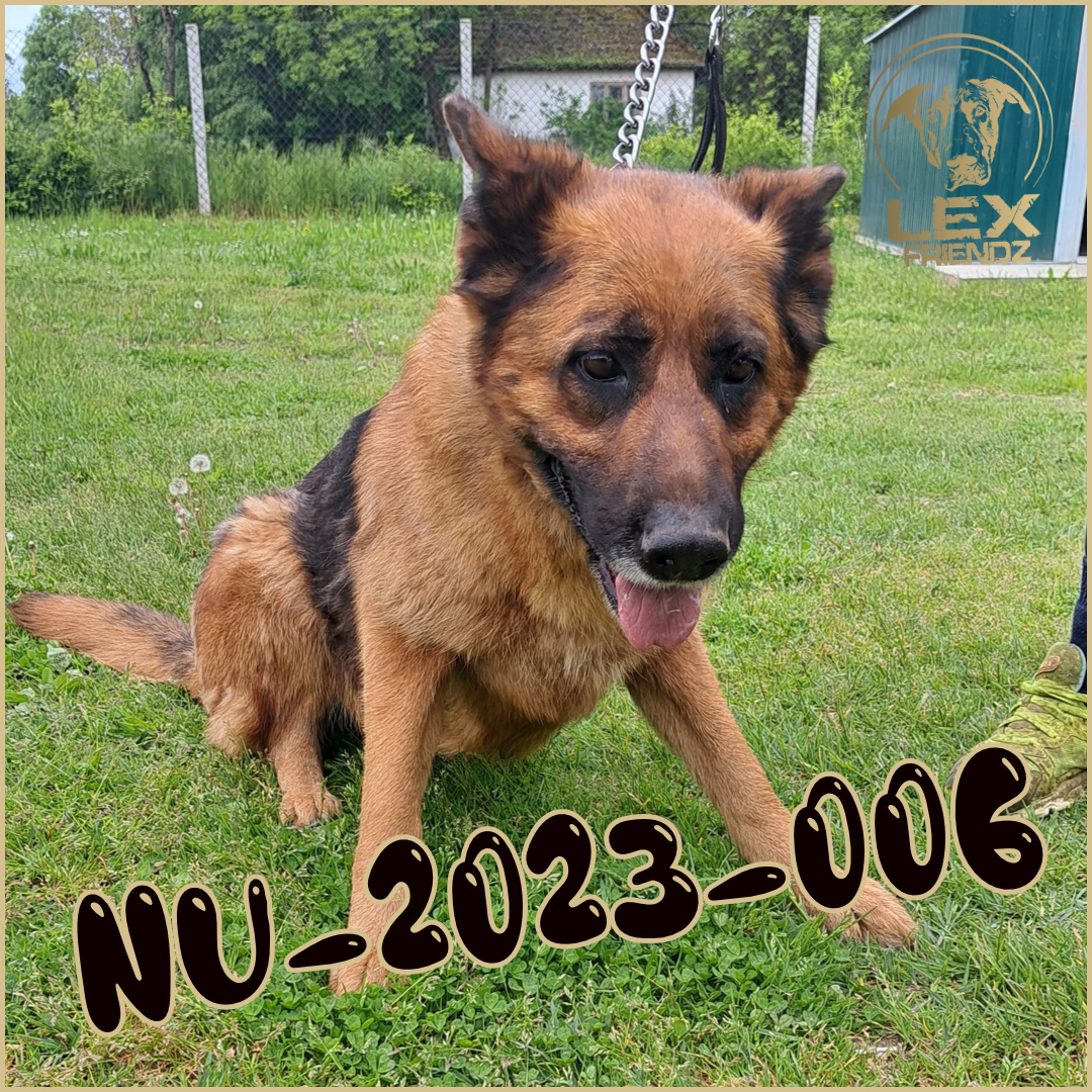 NU-2023-006