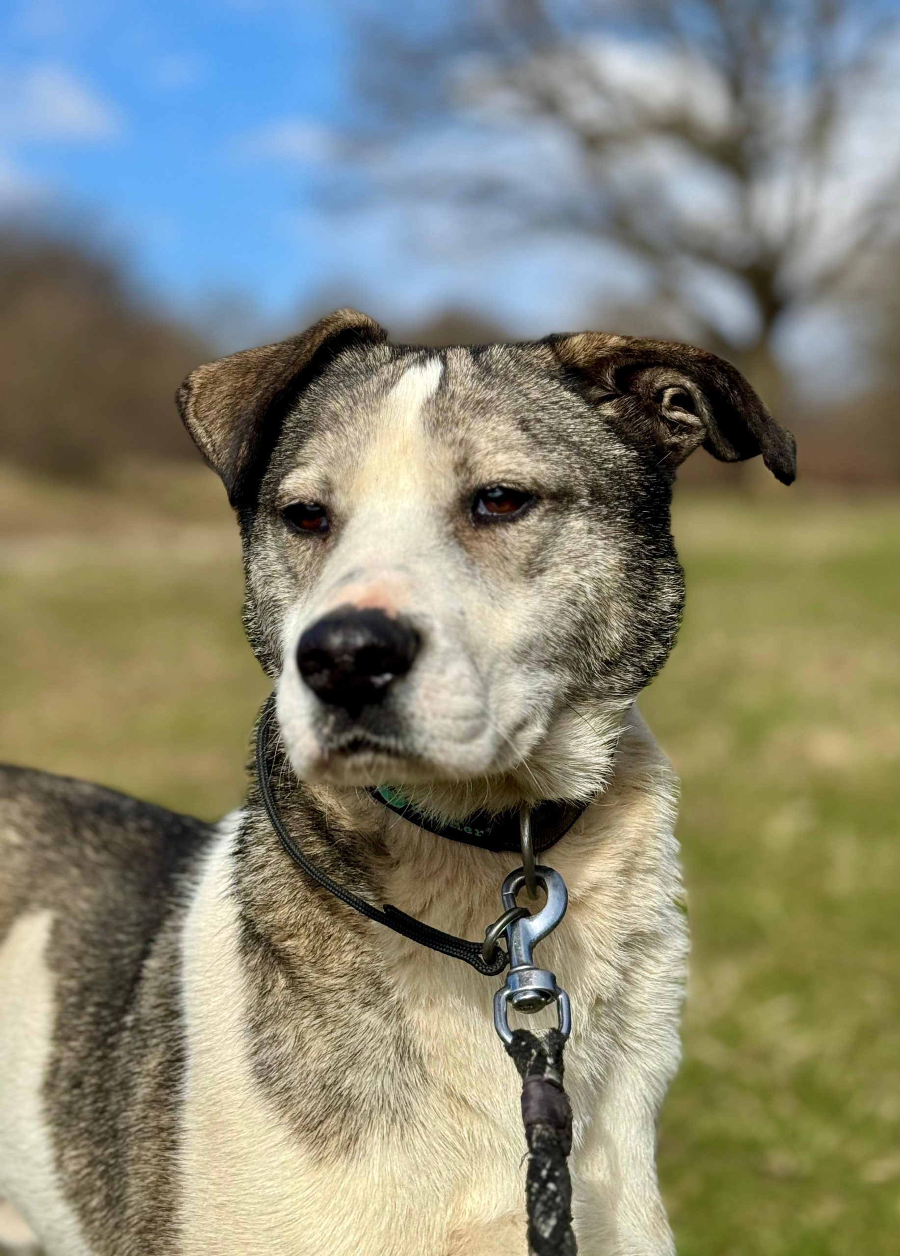 Max