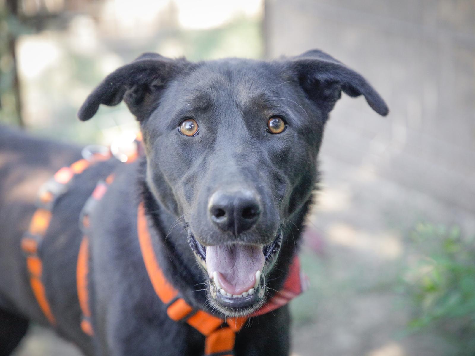 🧡 Augusta🧡