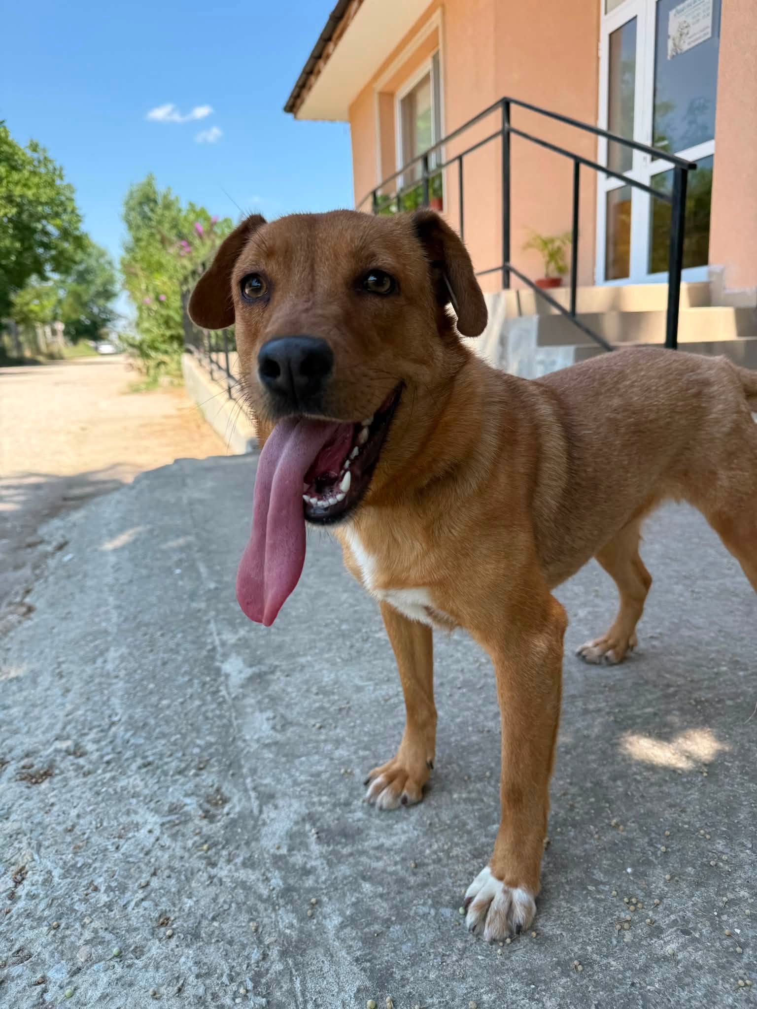 Tala ❤️