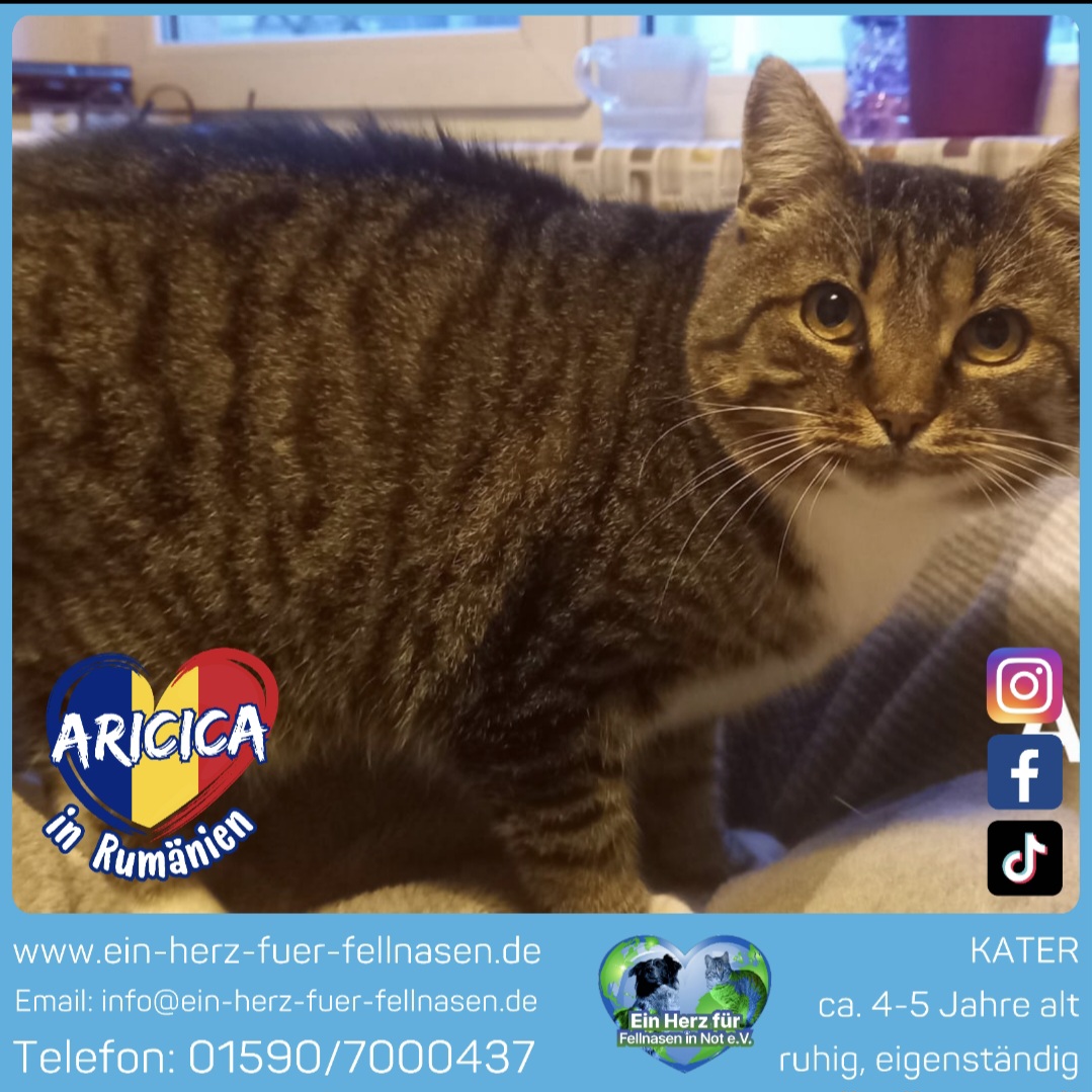 ❣️ Aricica ❣️ Freigang❣️