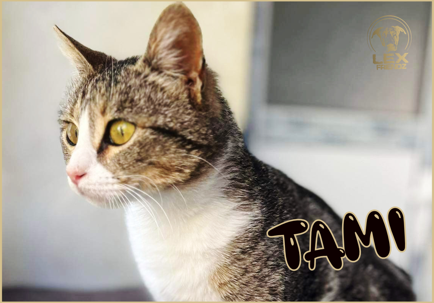 TAMI