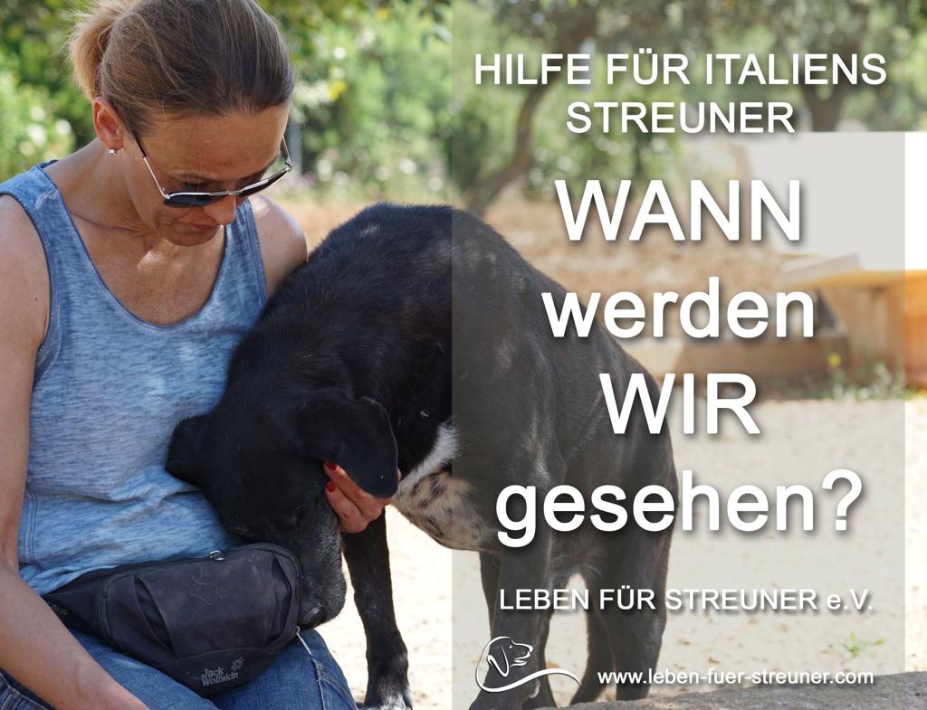 Kontaktbild von Verein Leben für Streuner e.V.
