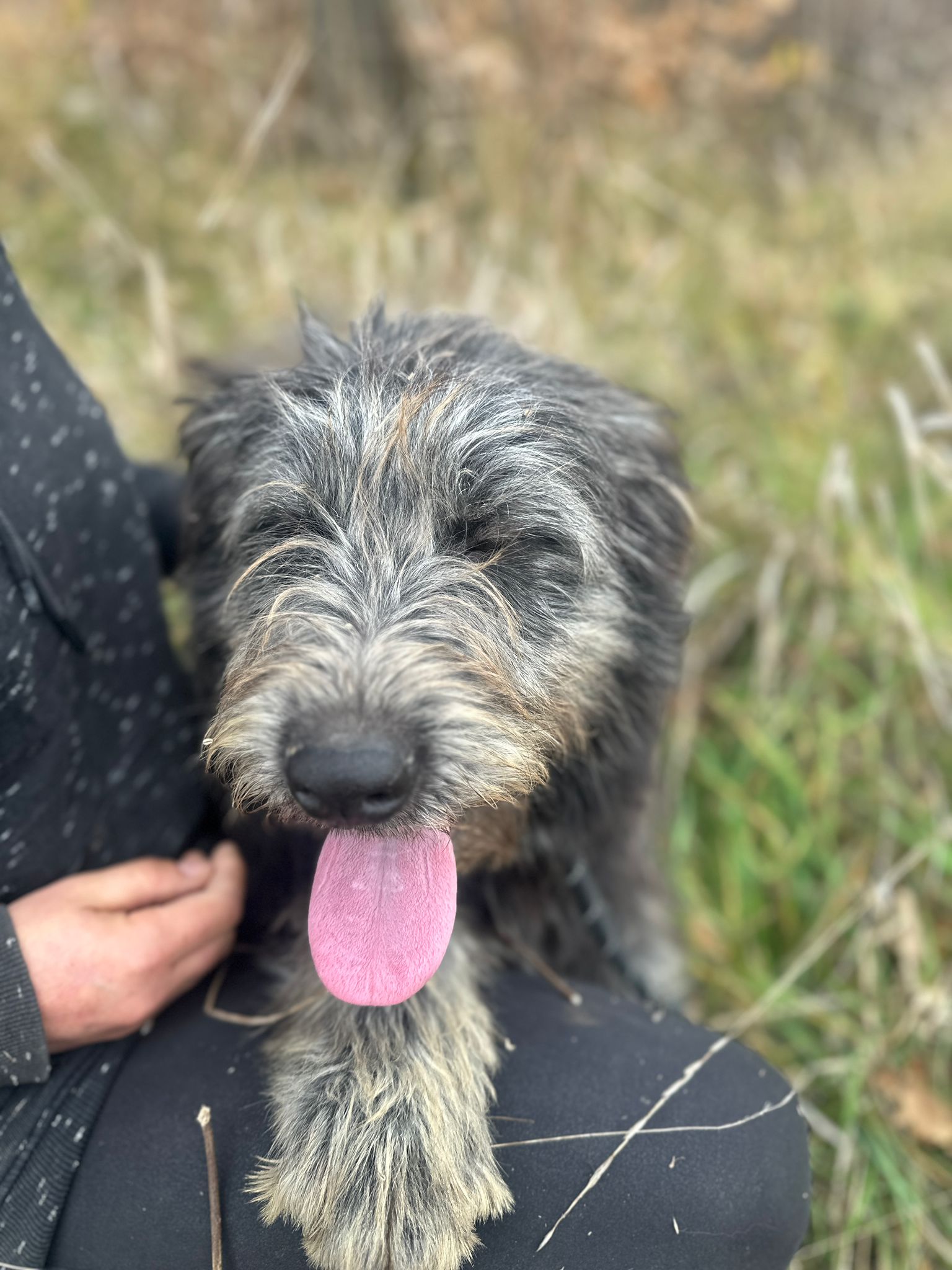 Arthur 🐾🐕