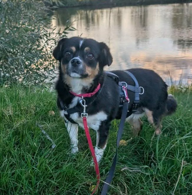 Evita