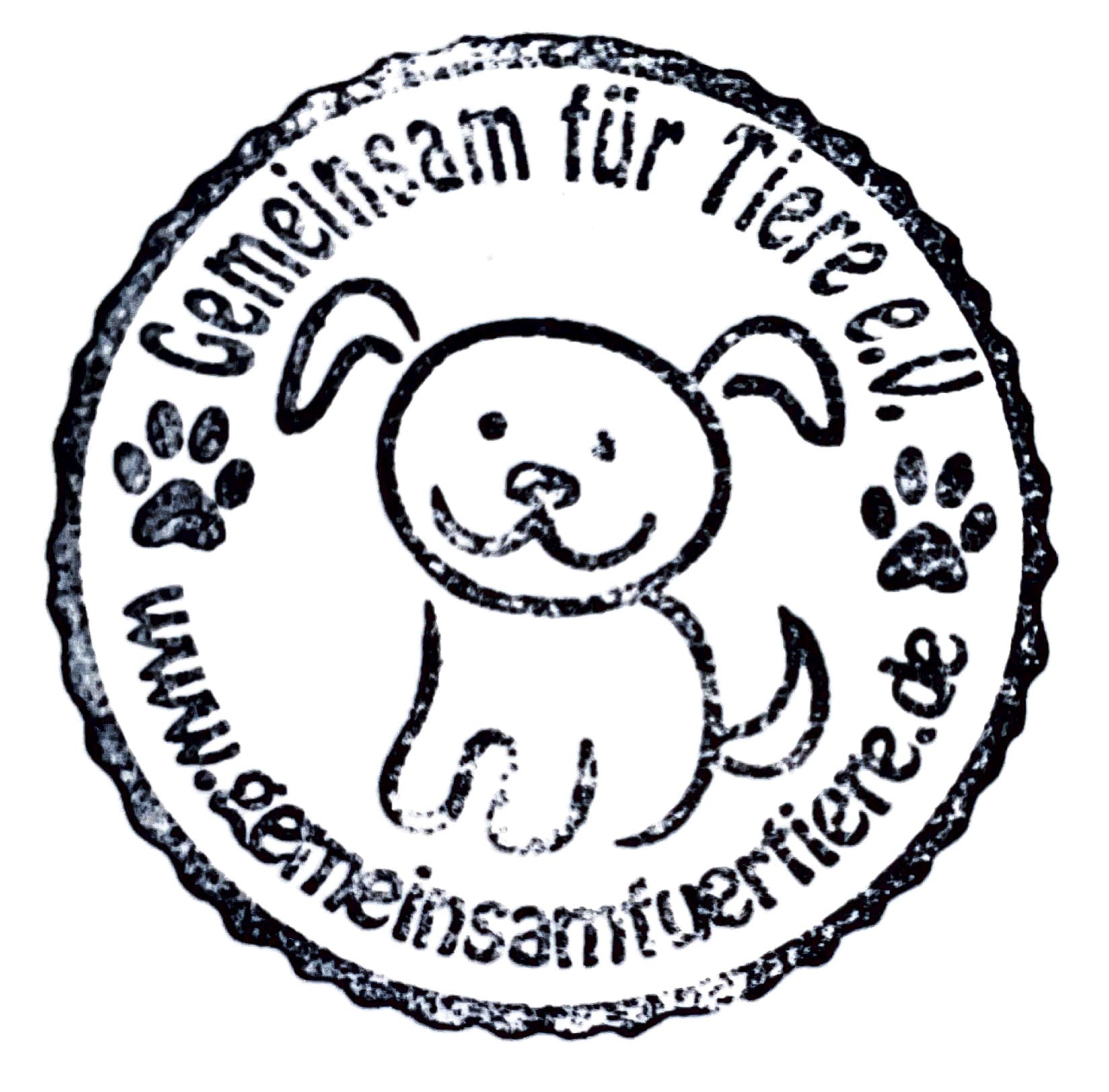 Kontaktbild von Elisa Bies