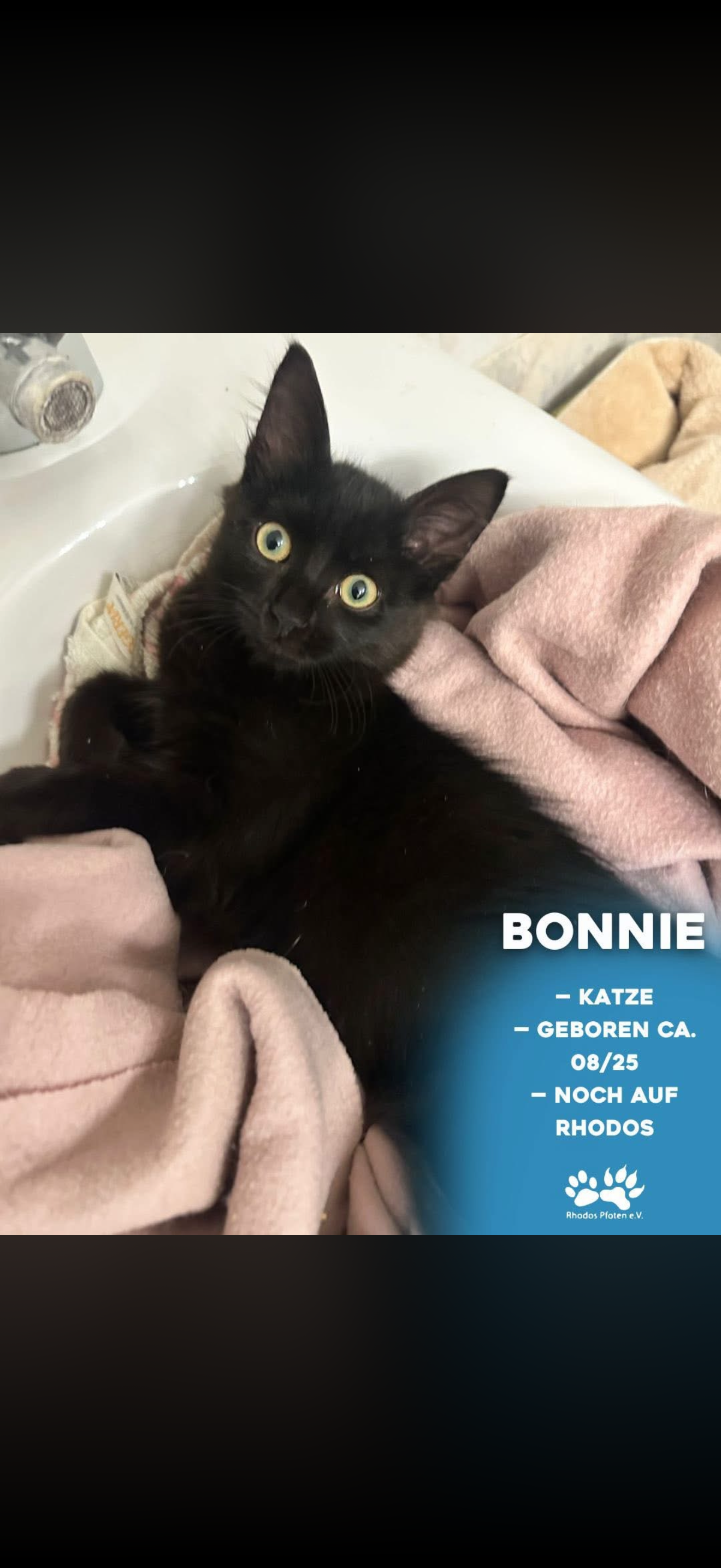 Bonnie
