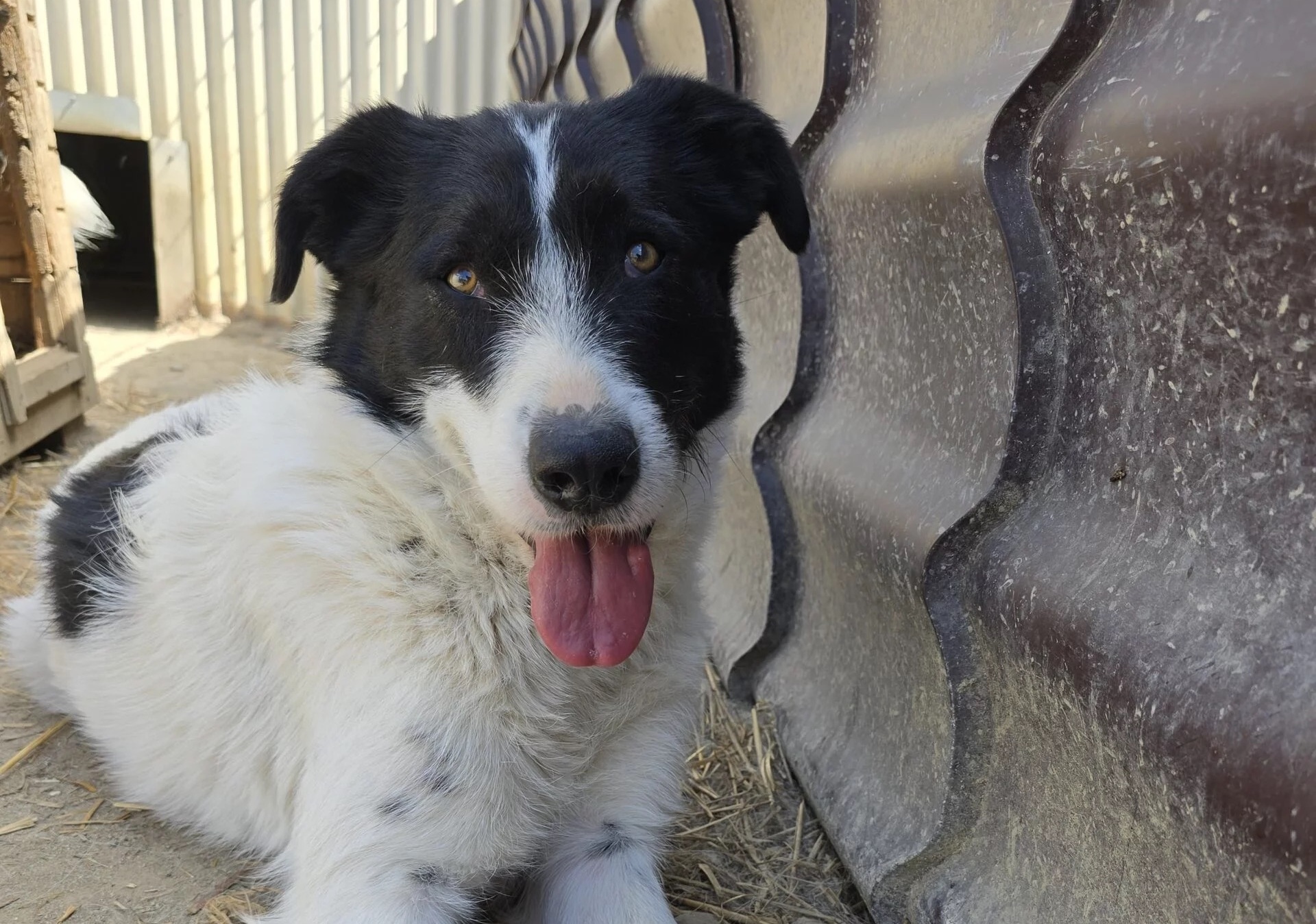 ERIC - unsicher aber neugierig