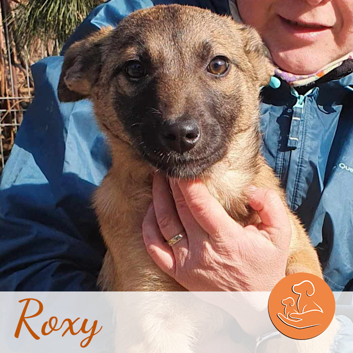 Roxy