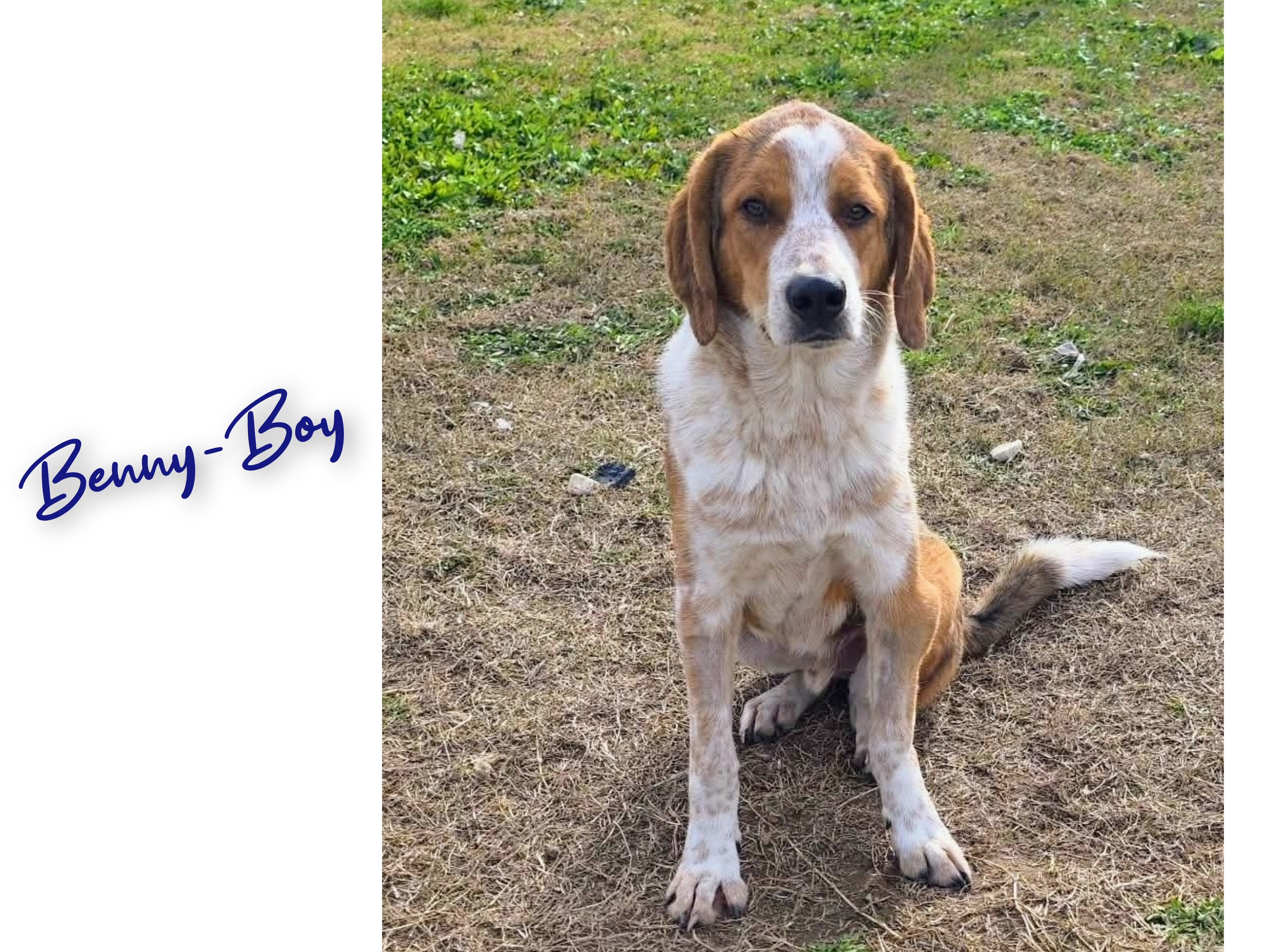 Benny-Boy