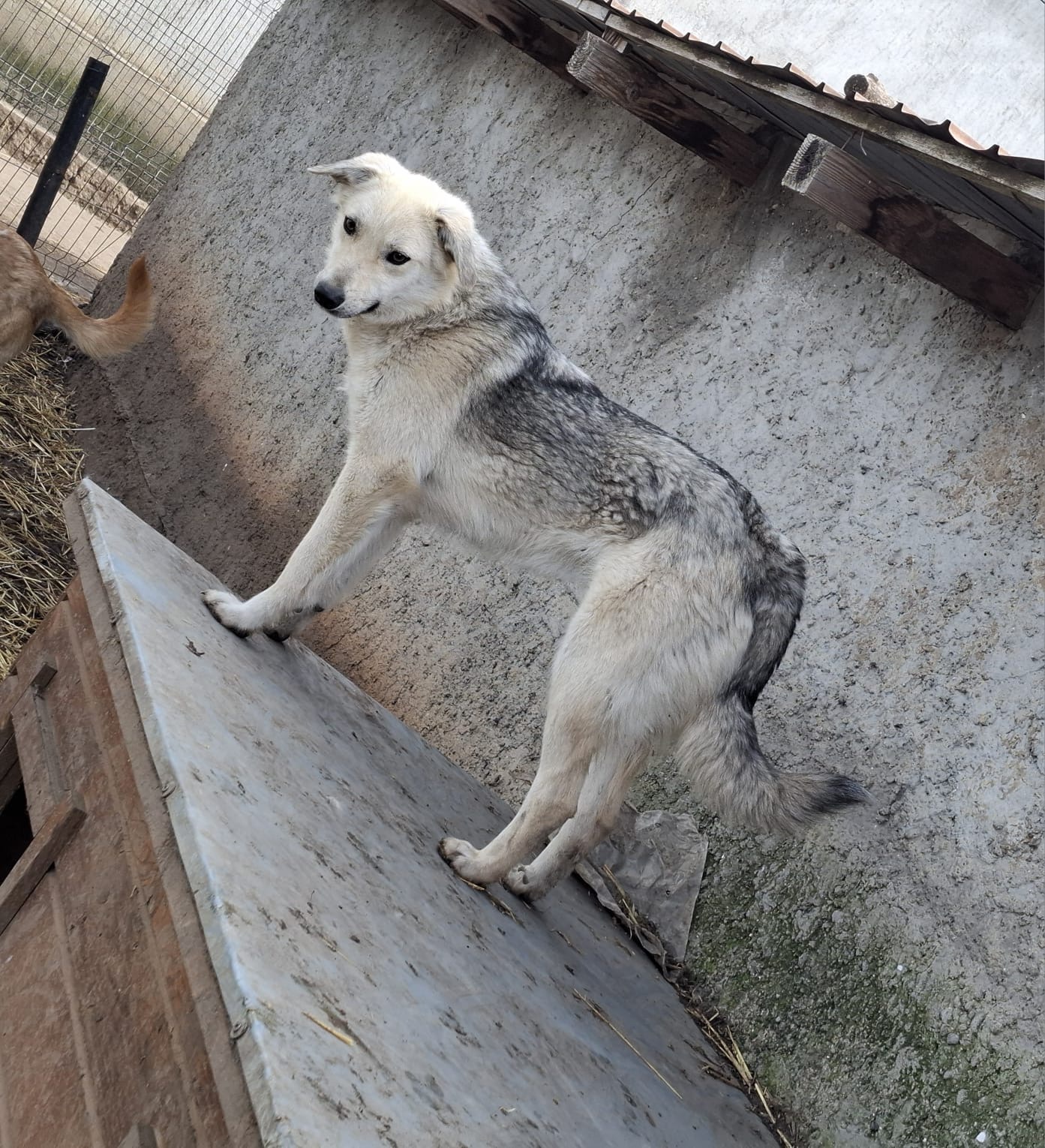 Mayte🐾sanfte Seele
