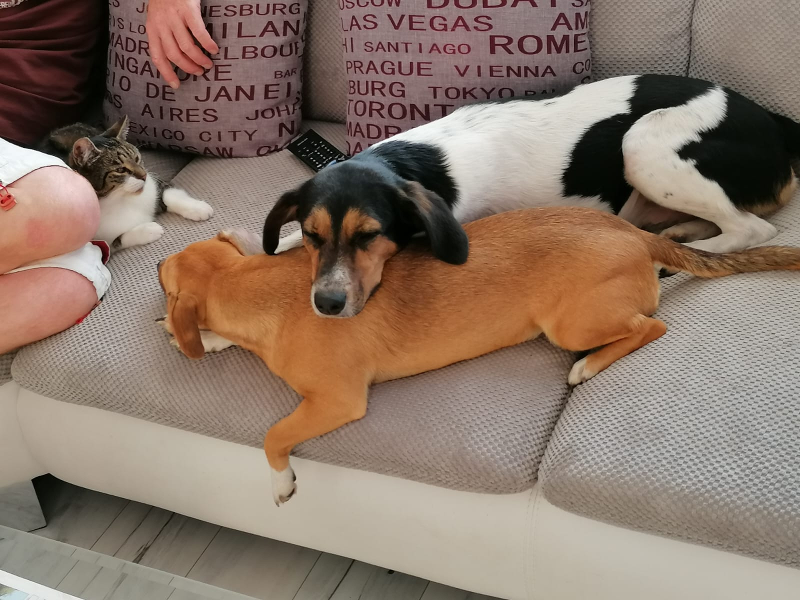 Cookie und Sunny