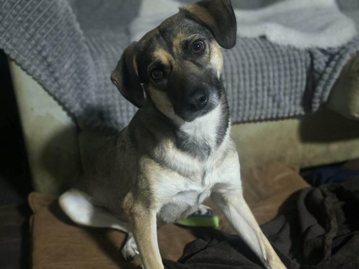 Penny